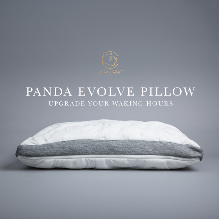 ラスト枕　Panda Evolve Pillow